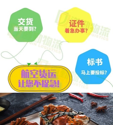 瀘州到上海空運